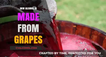 From Vine to Wine: The Art of Crafting Alcohol from Grapes