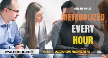 Hourly Alcohol Metabolism: How Your Body Processes Drinks Over Time