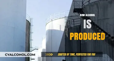 From Grains to Glass: The Art and Science of Alcohol Production