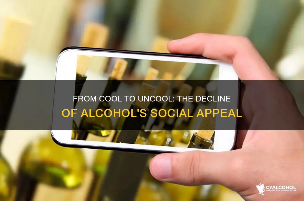 how alcohol lost its cool vice