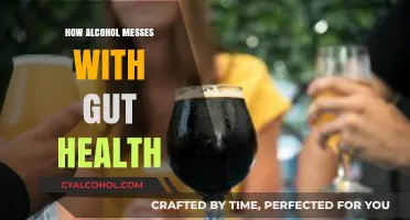 Alcohol's Impact: Unraveling How Drinking Disrupts Your Gut Health