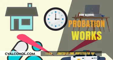Understanding Alcohol Probation: Rules, Consequences, and Compliance Explained