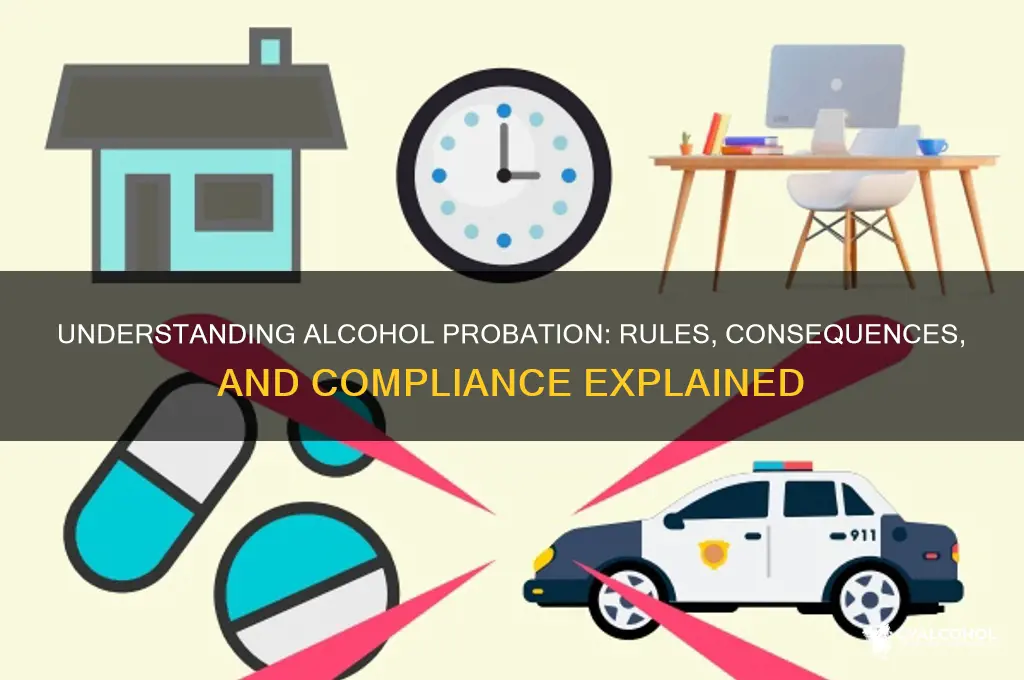 how alcohol probation works