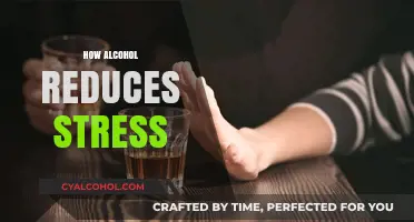 Unwinding with Alcohol: Exploring Its Stress-Relieving Effects and Risks