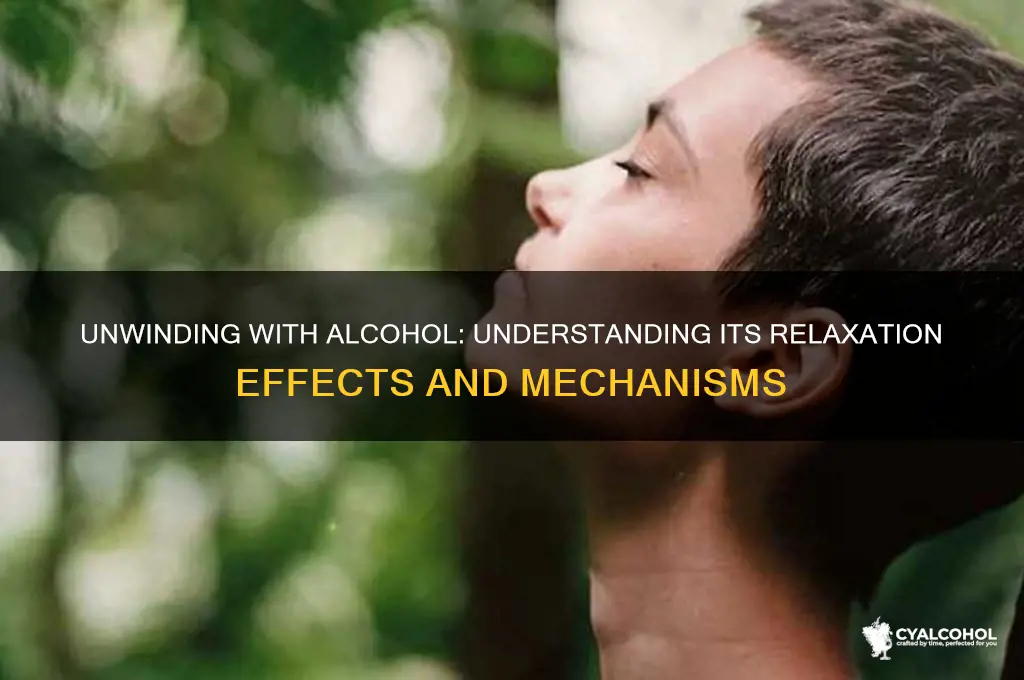 how alcohol relaxes you