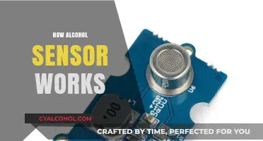 Understanding Alcohol Sensors: Technology, Functionality, and Applications Explained