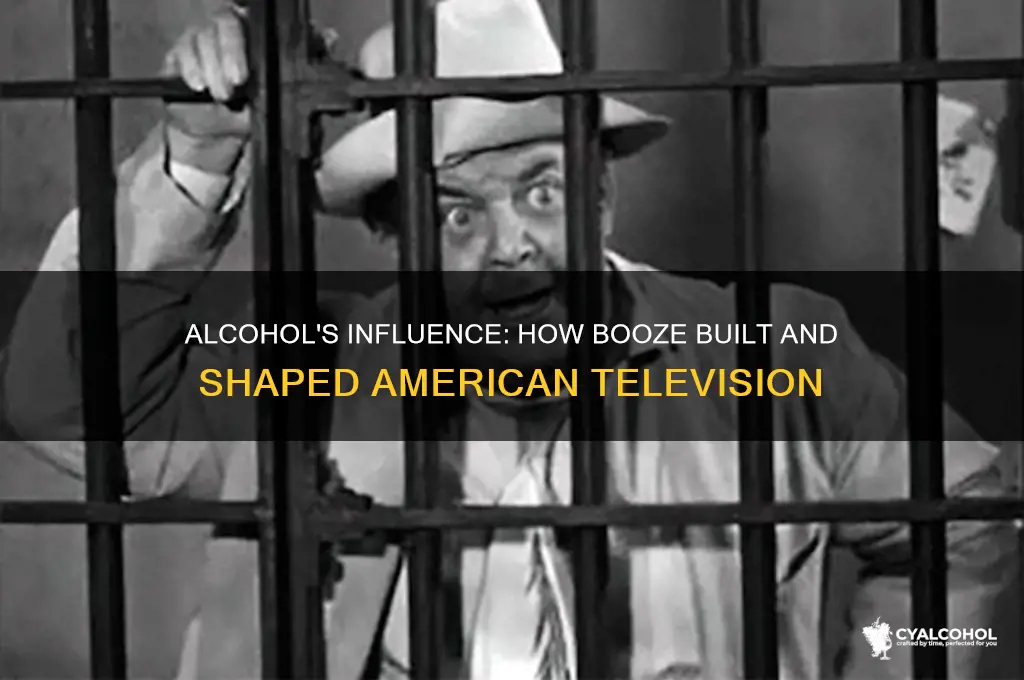 how alcohol shaped america tv show