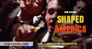 From Prohibition to Parties: Alcohol's Role in Shaping America
