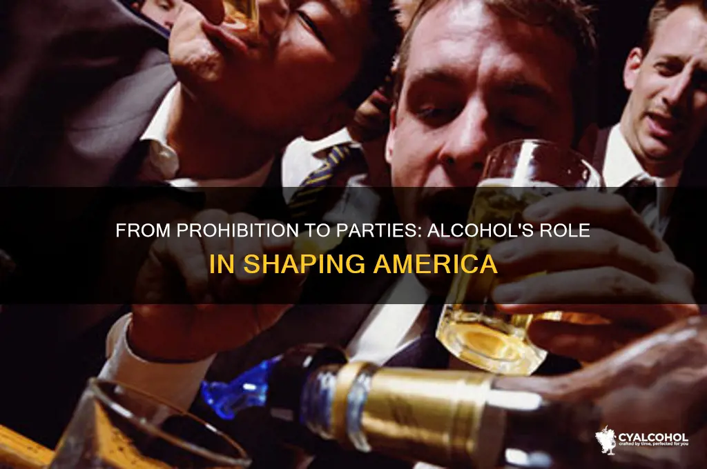 how alcohol shaped america