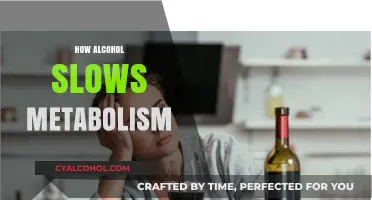 Alcohol's Impact: How Drinking Slows Your Metabolism and Hinders Weight Loss