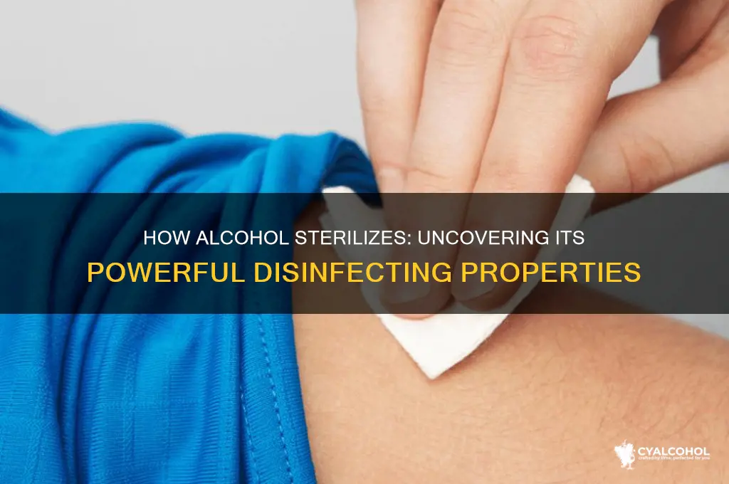 how alcohol sterilize
