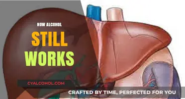 Unraveling the Science: How Alcohol Still Works in Your Body