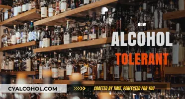 Understanding Alcohol Tolerance: Factors, Limits, and Personal Variations Explained
