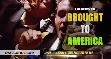 From Old World Vines to New Shores: Alcohol's Journey to America