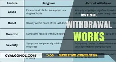 Understanding Alcohol Withdrawal: Symptoms, Timeline, and Safe Recovery Strategies