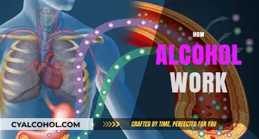Unveiling Alcohol's Effects: How It Impacts Your Body and Mind