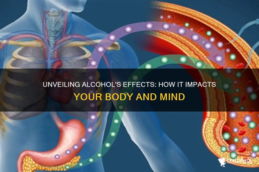 how alcohol work