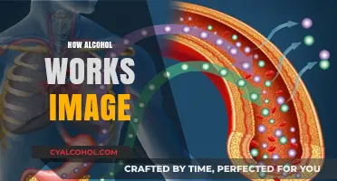 Understanding Alcohol's Effects: Visualizing How It Impacts Your Body and Mind