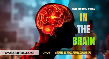 Unveiling Alcohol's Impact: How It Alters Brain Function and Behavior