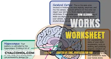 Understanding Alcohol's Effects: A Comprehensive Worksheet Guide