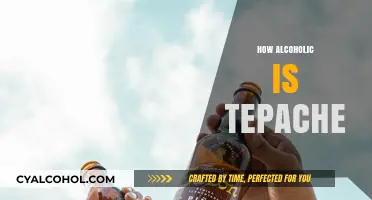 Is Tepache Alcoholic? Unveiling the Fermented Drink's ABV Truth