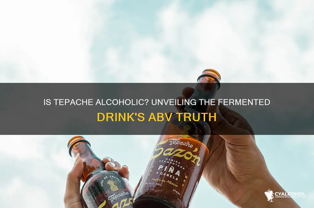 how alcoholic is tepache