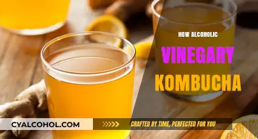 How to Brew Alcoholic Vinegary Kombucha: A Step-by-Step Guide