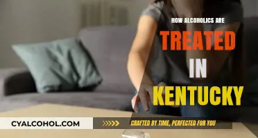 Kentucky's Approach to Treating Alcoholism: Programs, Support, and Recovery