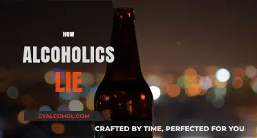 Unveiling Deception: How Alcoholics Lie to Themselves and Others