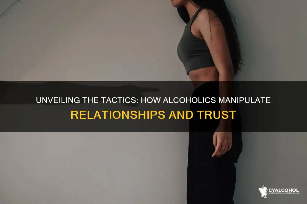 how alcoholics manipulate