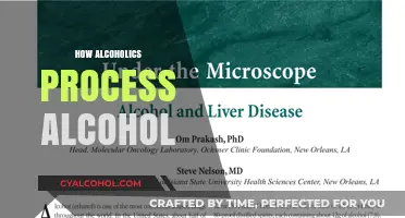 Understanding Alcohol Metabolism: How Alcoholics Process Alcohol Differently