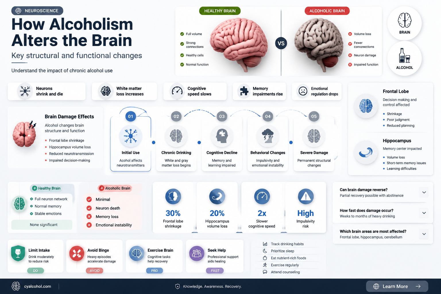 are alcoholics brains different