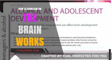 Understanding Alcoholism's Impact: How Chronic Drinking Alters Brain Function