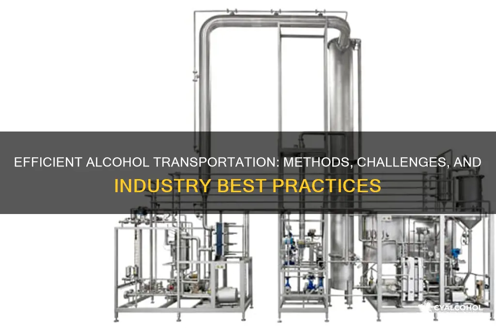how alcohols are transported