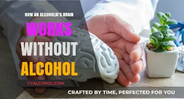 Sober Brain Function: Understanding Alcoholism's Impact Without Alcohol