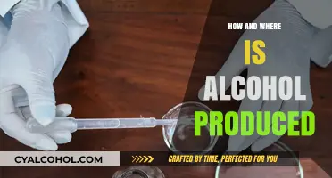 Exploring Alcohol Production: Methods, Locations, and Global Distillation Processes