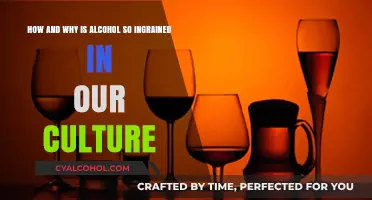 Alcohol's Cultural Grip: Why Drinking Is So Normalized