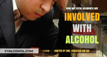 Alcohol-Related Fatal Accidents: Understanding the Devastating Impact and Prevention