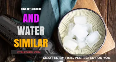 Exploring the Surprising Chemical and Physical Similarities of Alcohol and Water