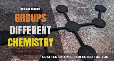 Exploring Alcohol Groups: Unique Chemical Properties and Functional Differences