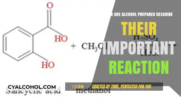 Alcohol Preparation Methods: Key Reactions and Processes Explained