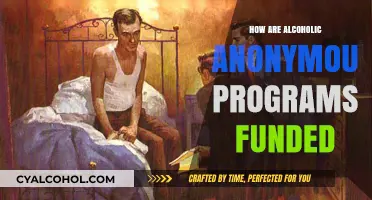 Understanding the Financial Support Behind Alcoholics Anonymous Programs