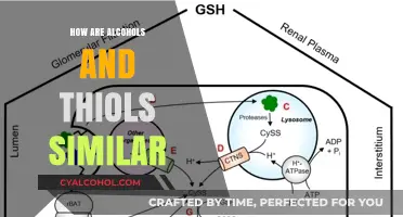 Alcohols and Thiols: Exploring Their Striking Structural and Chemical Similarities
