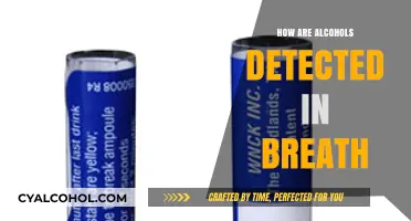 Breath Alcohol Detection: Understanding the Science Behind the Test