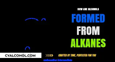From Alkanes to Alcohols: Understanding the Formation Process