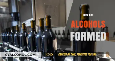 Understanding Alcohol Formation: Processes, Reactions, and Chemical Mechanisms