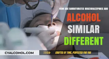 Barbiturates, Benzodiazepines, and Alcohol: Similarities, Differences, and Effects