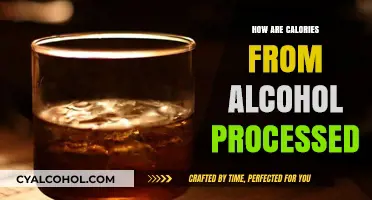 How Your Body Processes Alcohol Calories: The Surprising Truth
