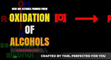 Ketone Formation: Understanding Alcohol Oxidation Process and Mechanisms