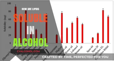 Why Lipids Dissolve in Alcohol: Exploring Solubility Science